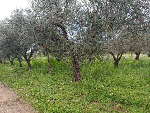 Villa singola in vendita a Chiaramonte Gulfi - Foto 3