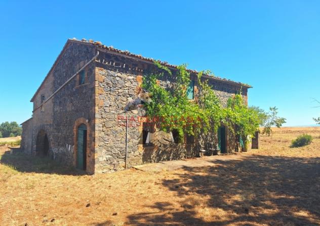 Lubriano - Sul confine tra Orvieto e Lubriano, casale con annessi e 11 ha di terreno in vendita. - Foto 3
