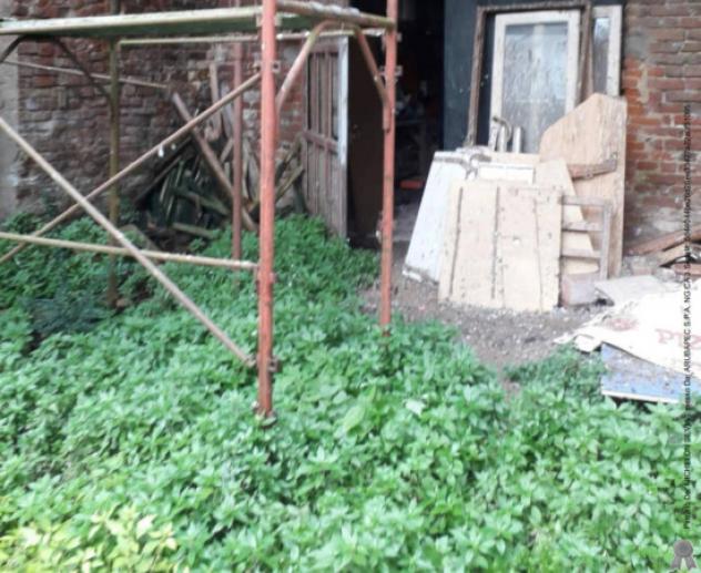 Immobile in asta di 314 m² con più di 5 locali in vendita a Torre Beretti e Castellaro - Foto 7