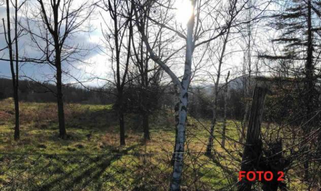 Immobile in asta di 2 m² in vendita a Gazzola - Foto 5