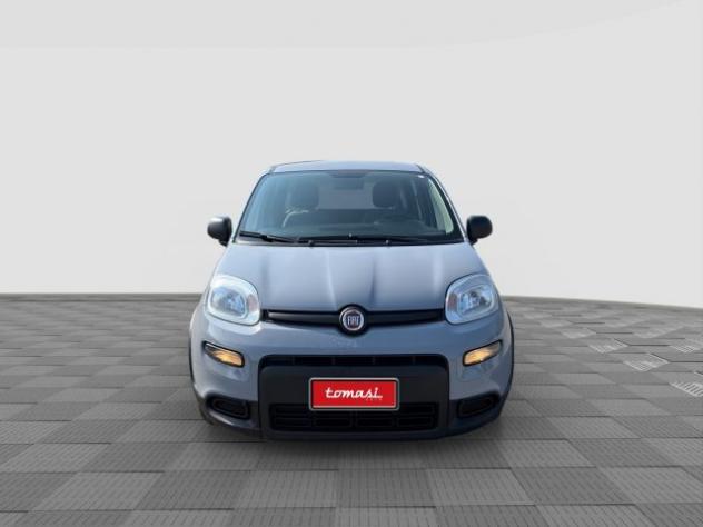 FIAT Panda Panda 1.0 FireFly Hybrid City Life rif. 23625317 - Foto 8