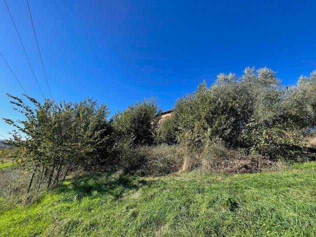 Casale in vendita a Siena 645 mq Rif: 1360661 - Foto 10