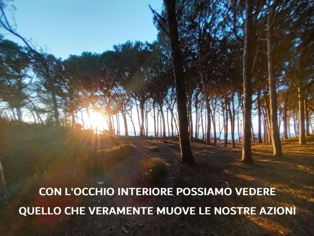 CORSO DI MEDITAZIONE/MINDFULNESS M.B.S.R. - Foto 5 Tel:3393819332