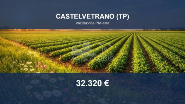 Immobile in asta di 34584 m² in vendita a Castelvetrano