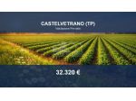 Immobile in asta di 34584 m² in vendita a Castelvetrano
