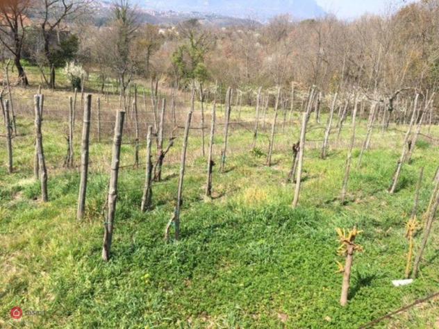 Terreno agricolo di 1300mq in Via provinciale a Manocalzati - Foto 3