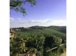 Little B&B della Pieve