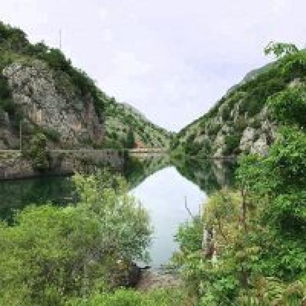 Millepini - Foto 2
