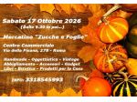 Mercatino "Zucche e Foglie"