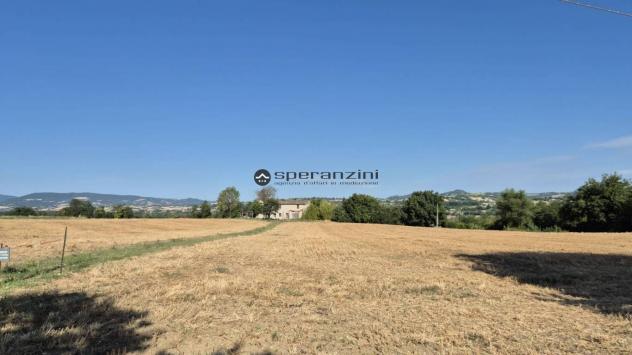 Un angolo di campagna tutto da riscoprire ? colli al metauro, san liberio
immersa nella quiete della campagna marchigiana, questa antica casa colonic - Foto 7