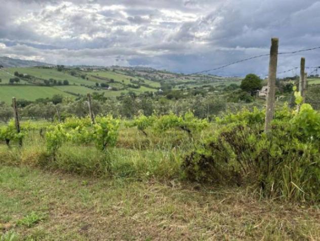 Immobile in asta di 21490 m² in vendita a Potenza Picena - Foto 2