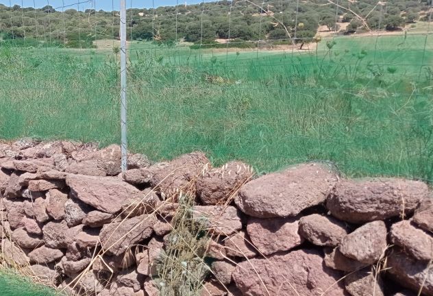 Area di Terra Agricola per Attività d'impresa - Foto 3