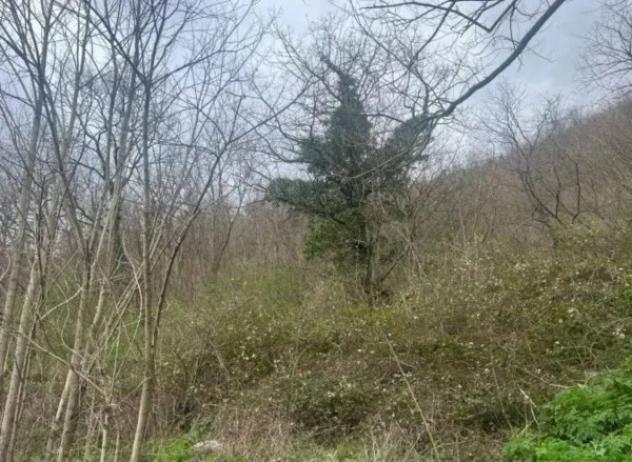 Immobile in asta di 9530 m² in vendita a Fiuminata - Foto 4