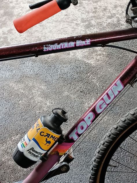 bicicletta - Foto 3