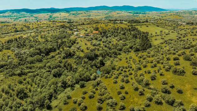 Villa in vendita a Magliano in Toscana 1100 mq Rif: 1311185 - Foto 6