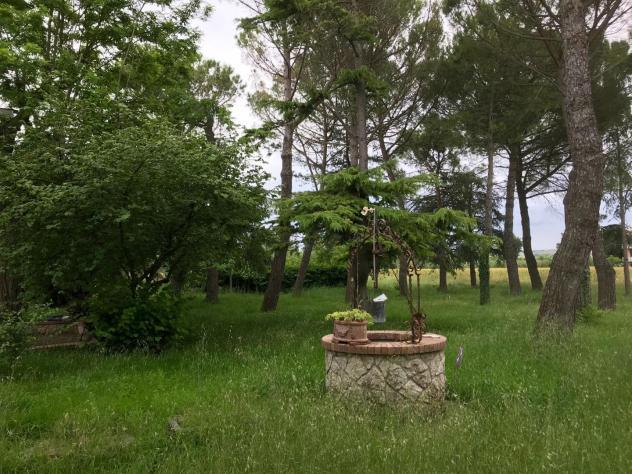 Villa in vendita a Asciano 420 mq Rif: 963066 - Foto 3
