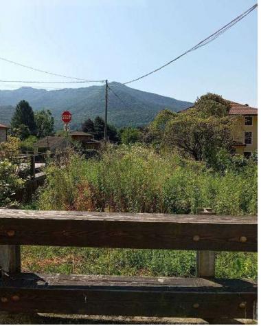 29/2025 2 VA - Bilocale in asta a Casalzuigno - Foto 16