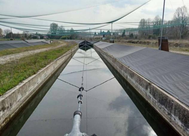 Immobile in asta di 999 m² in vendita a Treviso - Foto 11