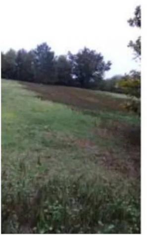 Immobile in asta di 36620 m² in vendita a Fucecchio - Foto 6