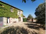 Nella loc. di San Martino sul Fiora, nel comune di Manciano, vendiamo un ca &hellip;