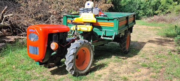 Goldoni Modello Export - Foto 2