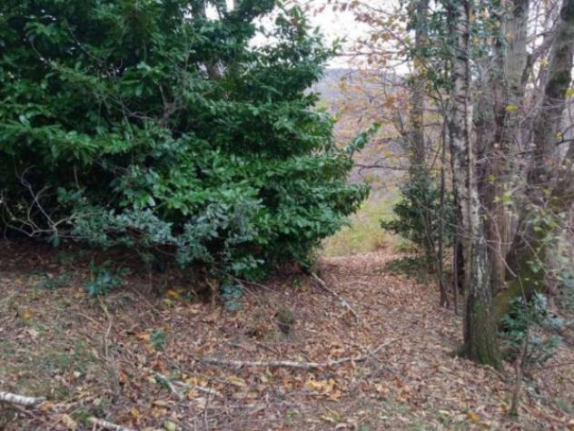Immobile in asta di 75 m² in vendita a Brezzo di Bedero - Foto 9
