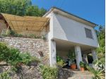 Camaiore-casa indipendente con terreno