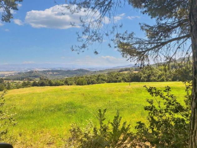 Immobile in asta di 75660 m² in vendita a Monte Castello di Vibio - Foto 4