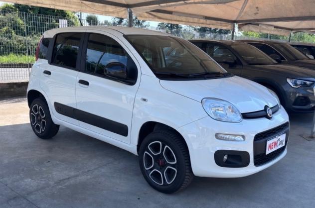 Fiat Panda 0.9 TwinAir Turbo S&S 4x4 Van 2 posti - Foto 3