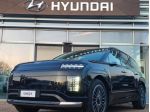 HYUNDAI Ioniq 9 110 kWh AWD Performance Calligraphy rif. 23490881