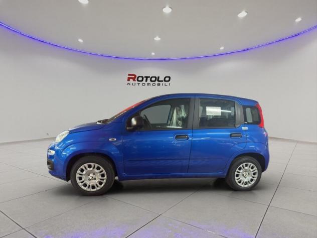 FIAT Pandina Pandina 1.0 FireFly 65 CV Hybrid Icon - Foto 4