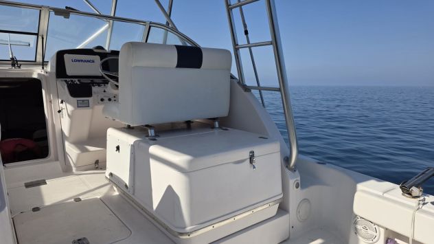 Splendido fisherman Pro-line 33 express flybridge - Foto 7