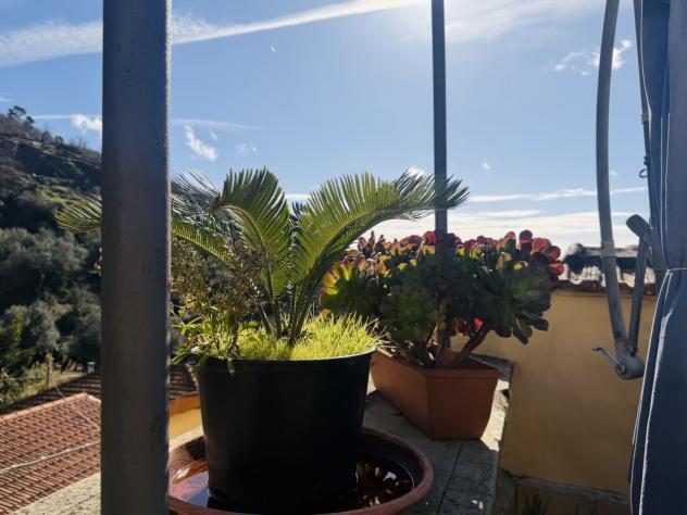 Porzione di casa in vendita a Diano San Pietro - Foto 16
