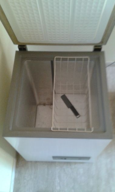 CONGELATORE a Pozzetto - Foto 5