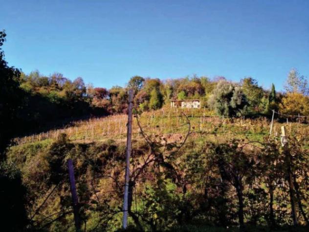 Immobile in asta di 83636 m² in vendita a Refrontolo - Foto 3