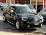 Countryman D 2.0 Hype-unipro-rate-no vincoli