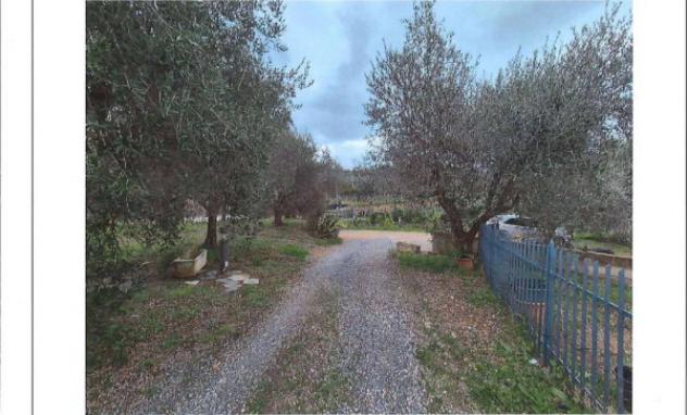 Immobile in asta di 168 m² con più di 5 locali e box auto in vendita a Albenga - Foto 12