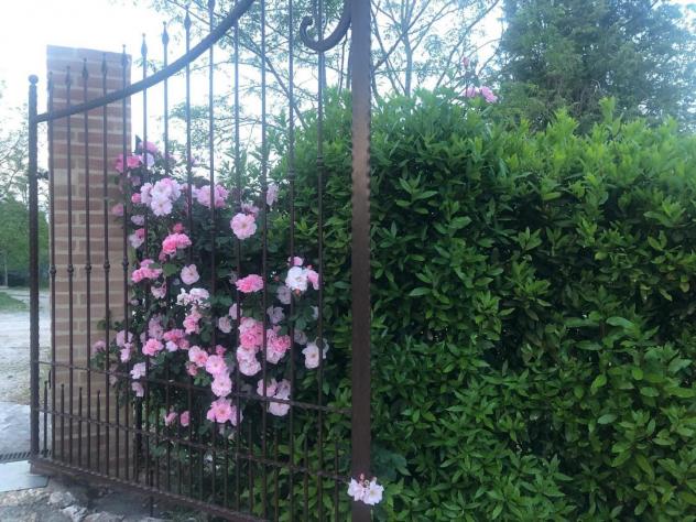 Villa in vendita a Montechiaro - Siena 187 mq Rif: 1395603 - Foto 6