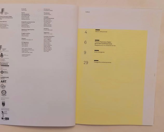 Premio Francesco Fabbri per le Arti Contemporanee 2014 Terza edizione - Foto 3