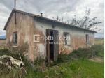 CAPANNONE di 2 vani e di 320 mq (GROSSETO) rif. 03685