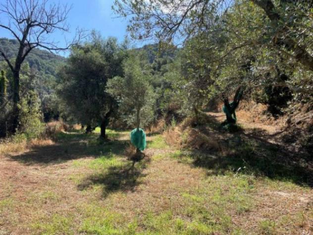 Immobile in asta di 27621 m² in vendita a Galatro - Foto 11