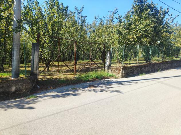 Agricolo in Via Bosco Magliano - Foto 4