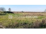 Terreno di 9372 mq  in vendita a Nogara - Rif. 4546660