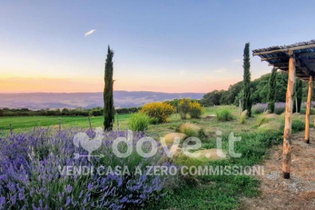 Rustico / Casale di 500 m² con più di 5 locali in vendita a Pienza - Foto 4