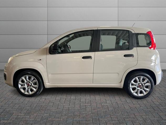 FIAT Panda 3ª serie - 1.2 Pandazzurri - Foto 2