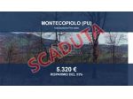 Immobile in asta di 26446 m² in vendita a Montecopiolo