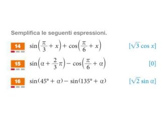 Ripetizioni Matematica e Fisica