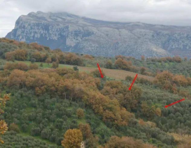 Immobile in asta di 6433 m² in vendita a Castelcivita - Foto 2