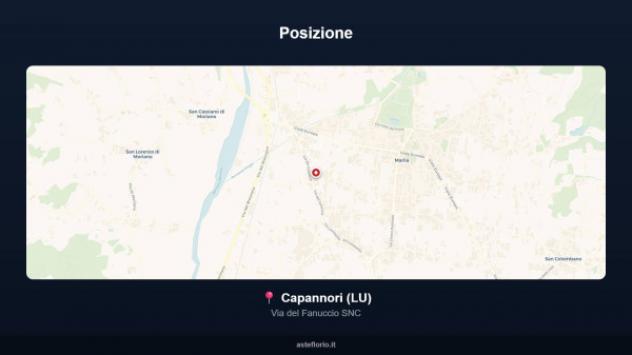 Immobile in asta di 811 m² in vendita a Capannori - Foto 2