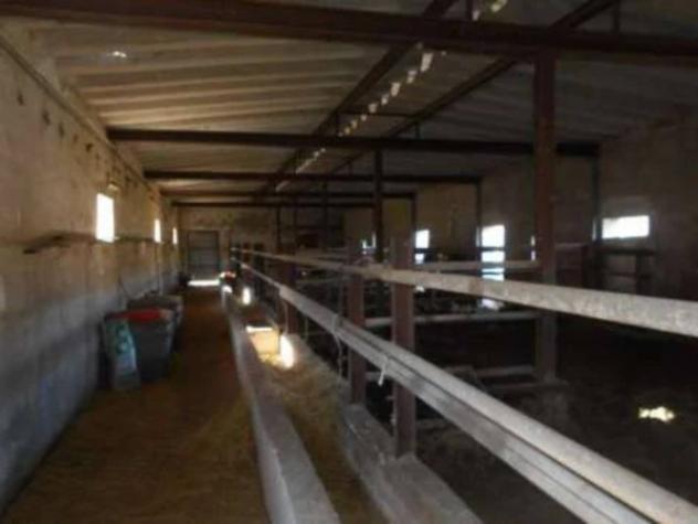Immobile in asta di 1103 m² in vendita a Thiesi - Foto 14